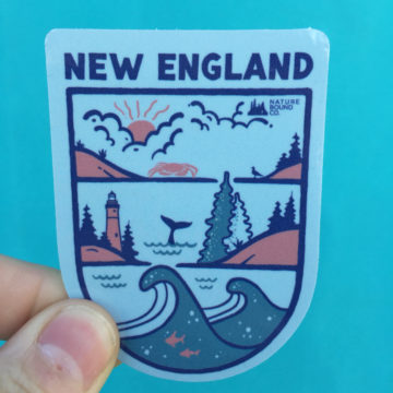 AT New England New Sticker