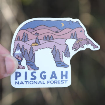 Wildlife Series Bear Night Pisgah National Forest Sticker