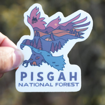 Wildlife Series Eagle Dusk Pisgah National Forest Sticker