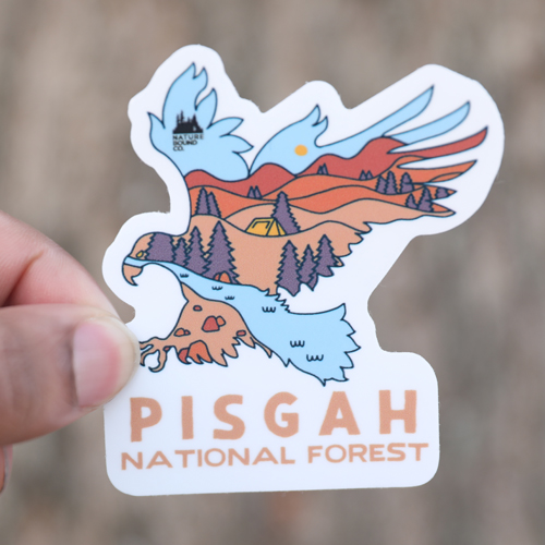 Wildlife Series Eagle Day Pisgah National Forest Sticker
