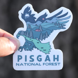 Wildlife Series Eagle Night Pisgah National Forest Sticker